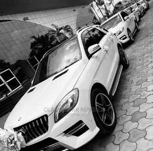 Mercedes Benzes Ml Class for Hire