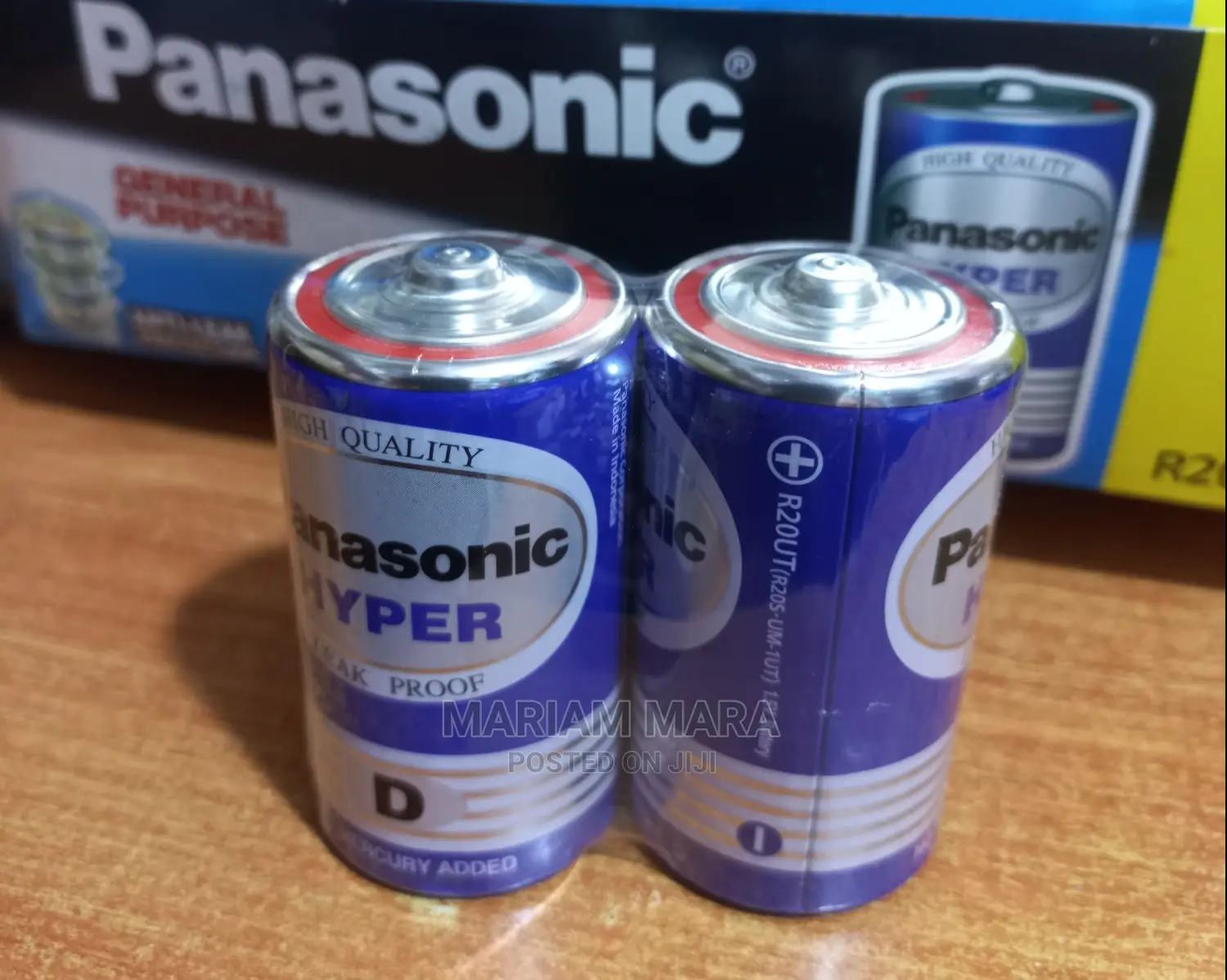 Panasonic Batteries (D)