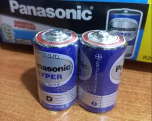 Panasonic Batteries (D)