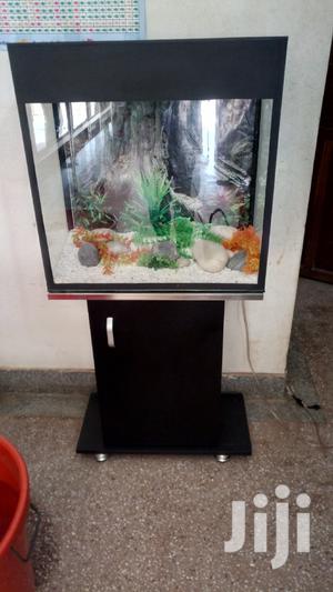 Aquariums In Uganda