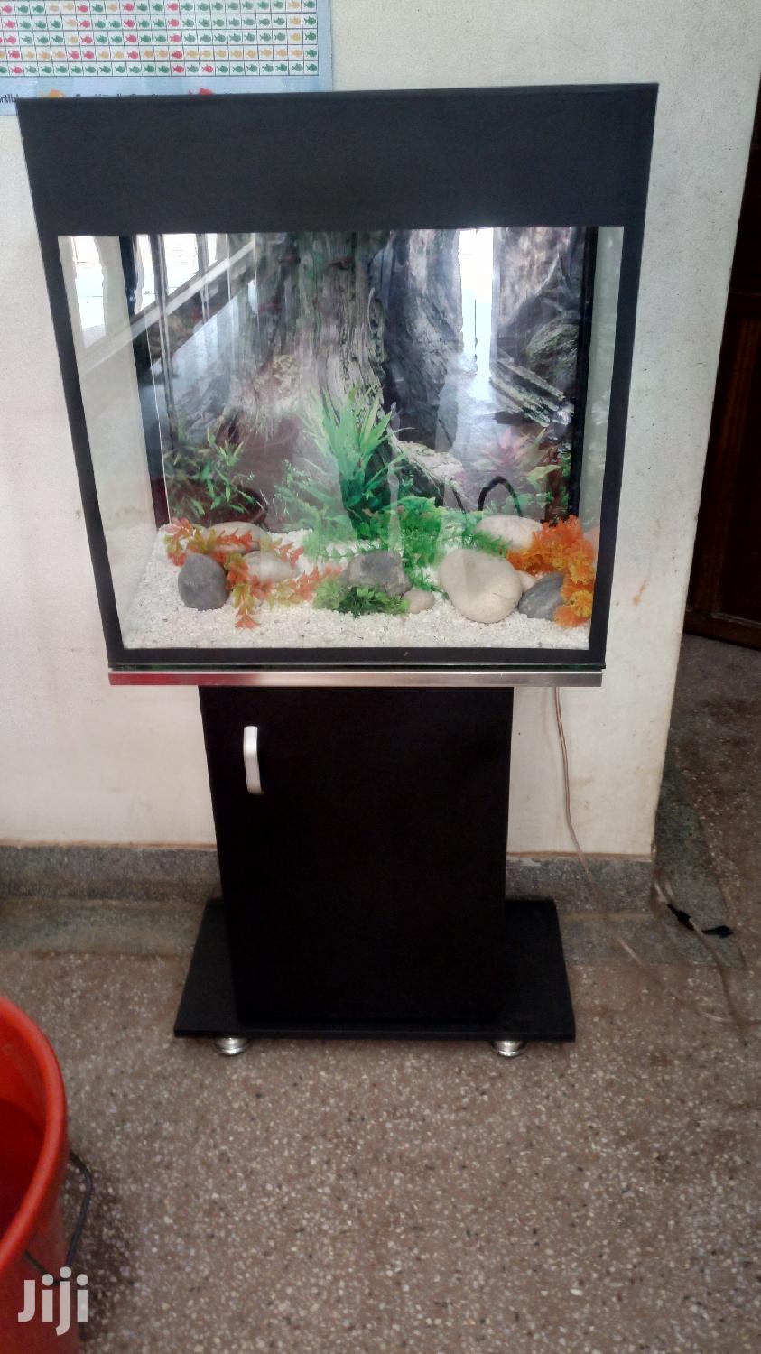 Aquariums In Uganda