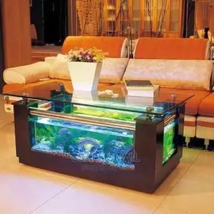 A Beautiful Coffee Table Aquarium