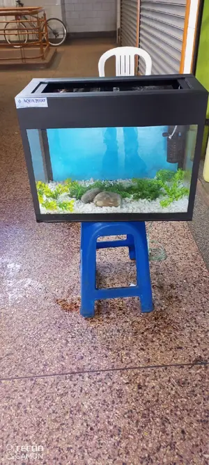 Medium Sized Aquarium and Neat