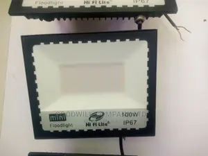 100w Ac/Electricity Flood Light