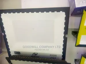 400w Ac/Electricity Flood Light