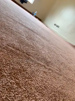 Woolen Carpets(Wall to Wall Carpets)