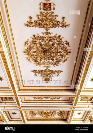 Gypsum Ceiling Moslems
