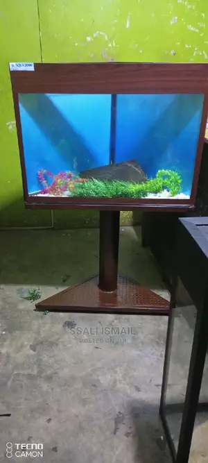 A Corner Tank Simply Set Up With Easy Interior