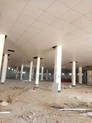 Suspended Ceiling Hall 1