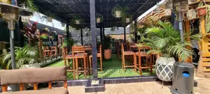 Artificial Grass