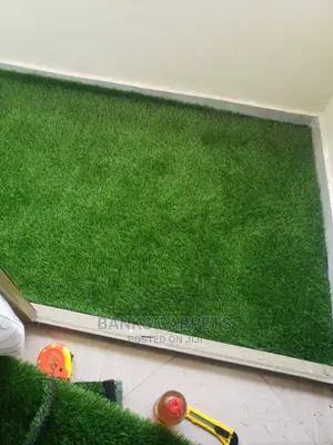 Artificial Grass