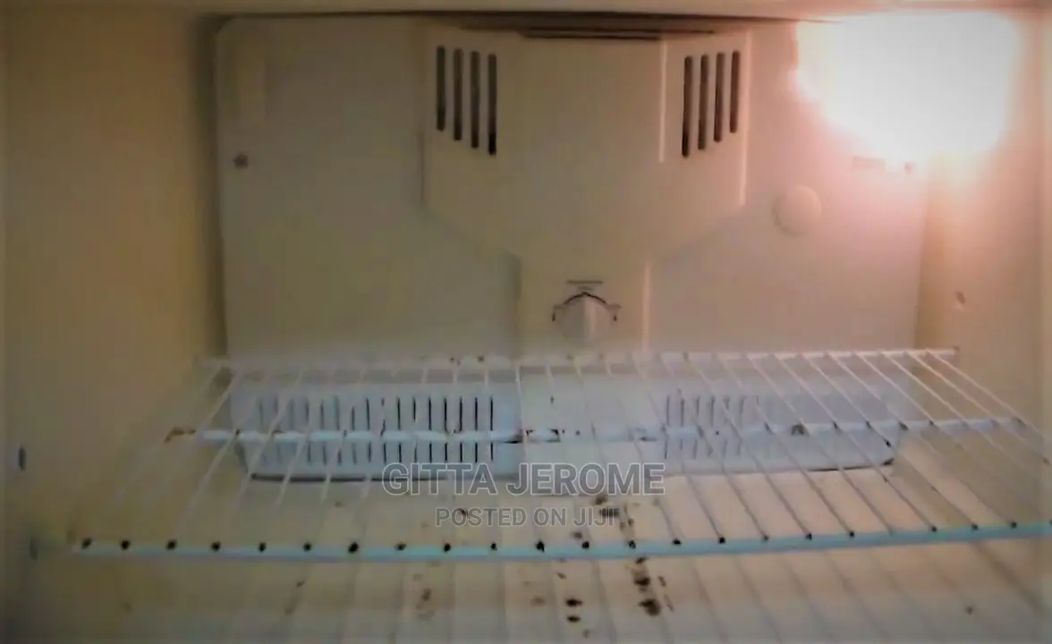 Fridge, Chest and Chill Freezer Repairs. Mechanic