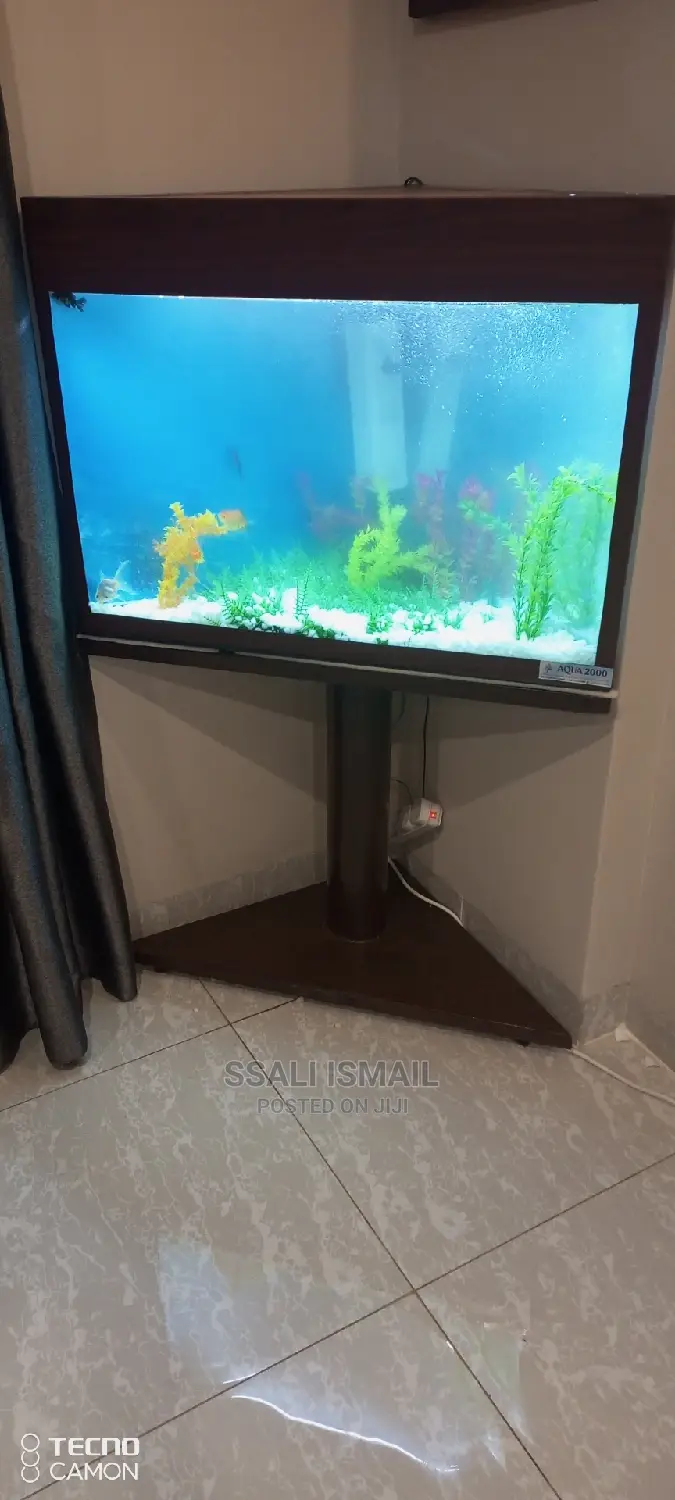 An Aquarium That Does Not Take Abig Space