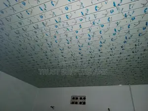 Pvc Ceiling Blue 