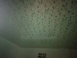 Pvc Ceiling Blue 