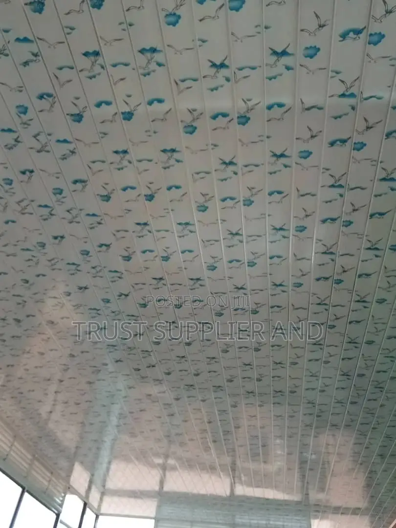 Pvc Ceiling Blue 