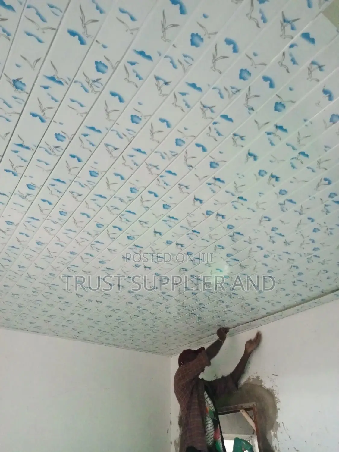 Pvc Ceiling Blue 