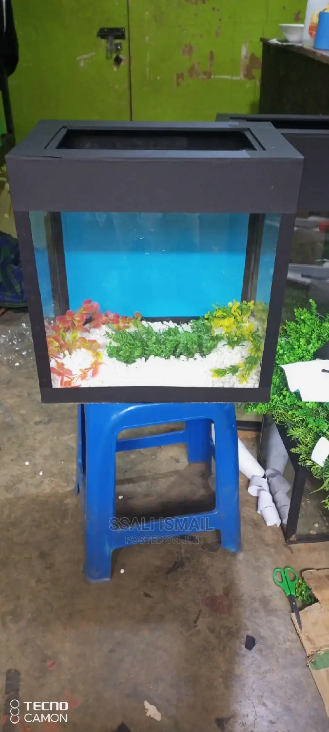 Small Black Aquarium Its Cheaper