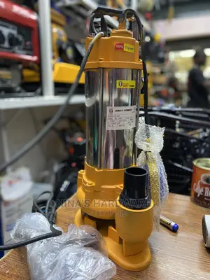 Dirty Water Pump