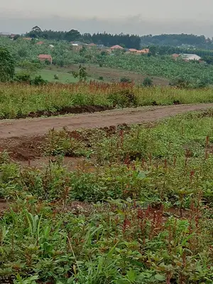 Land Title Plot in Gayaza