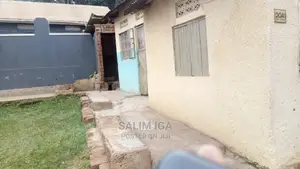 Genuine Plot