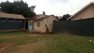 Genuine Plot