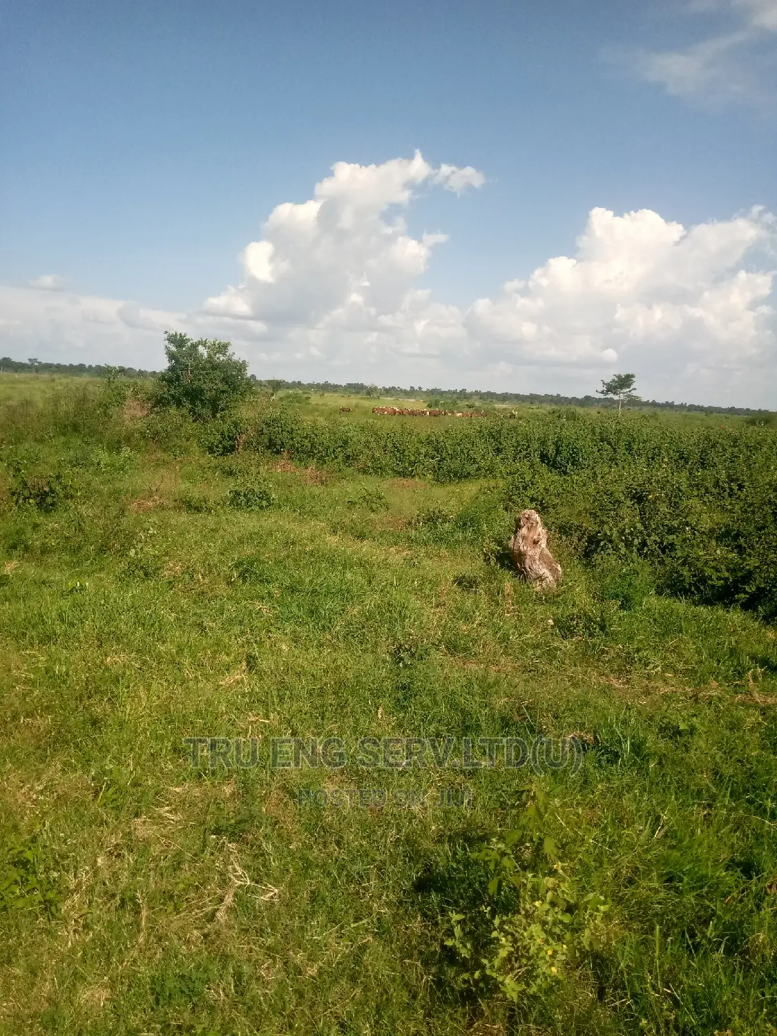 Land Surveying,Title Processing and Title Transfers