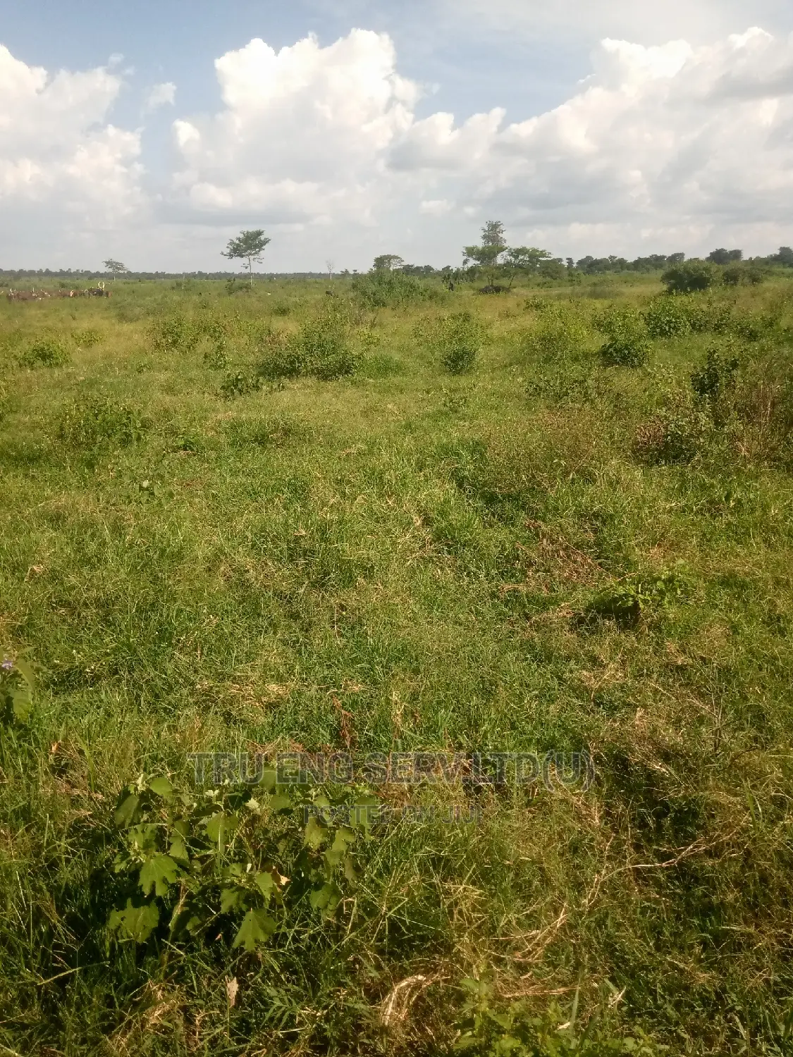 Land Surveying,Title Processing and Title Transfers