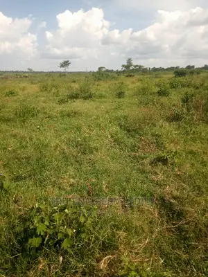 Land Surveying,Title Processing and Title Transfers