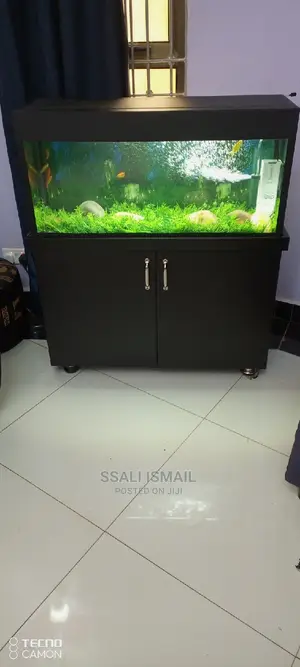 Fully Set With All the Nice Interiars