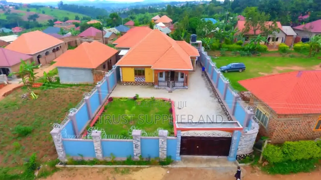 Painting House and Wall