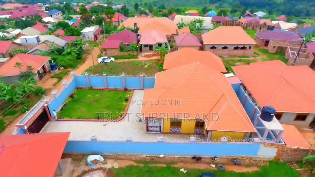 Painting House and Wall