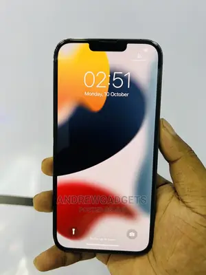 Apple iPhone 13 Pro Max 256 GB Black