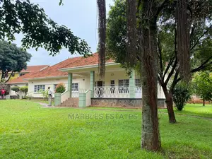 4bdrm Bungalow in Muyenga, Central Division for Rent