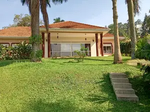 4bdrm House in Muyenga, Central Division for Rent
