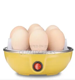 Electric Egg Boiler