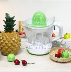 Electric Juicer
