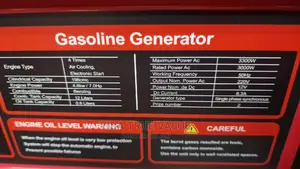 Edon Generator PT-3300L