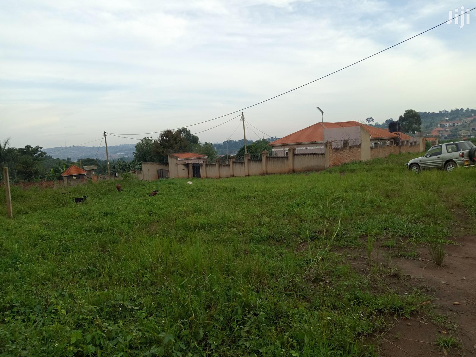 Kira Beautiful Plot on Sell