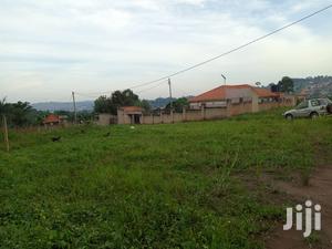 Kira Beautiful Plot on Sell