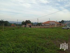 Kira Beautiful Plot on Sell