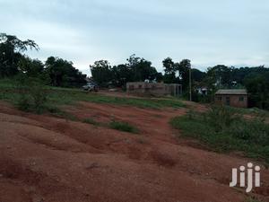 Kira Nice Plot of Land for Sell