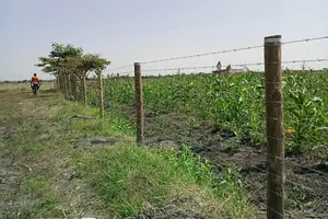 Barbed Wire Fencing