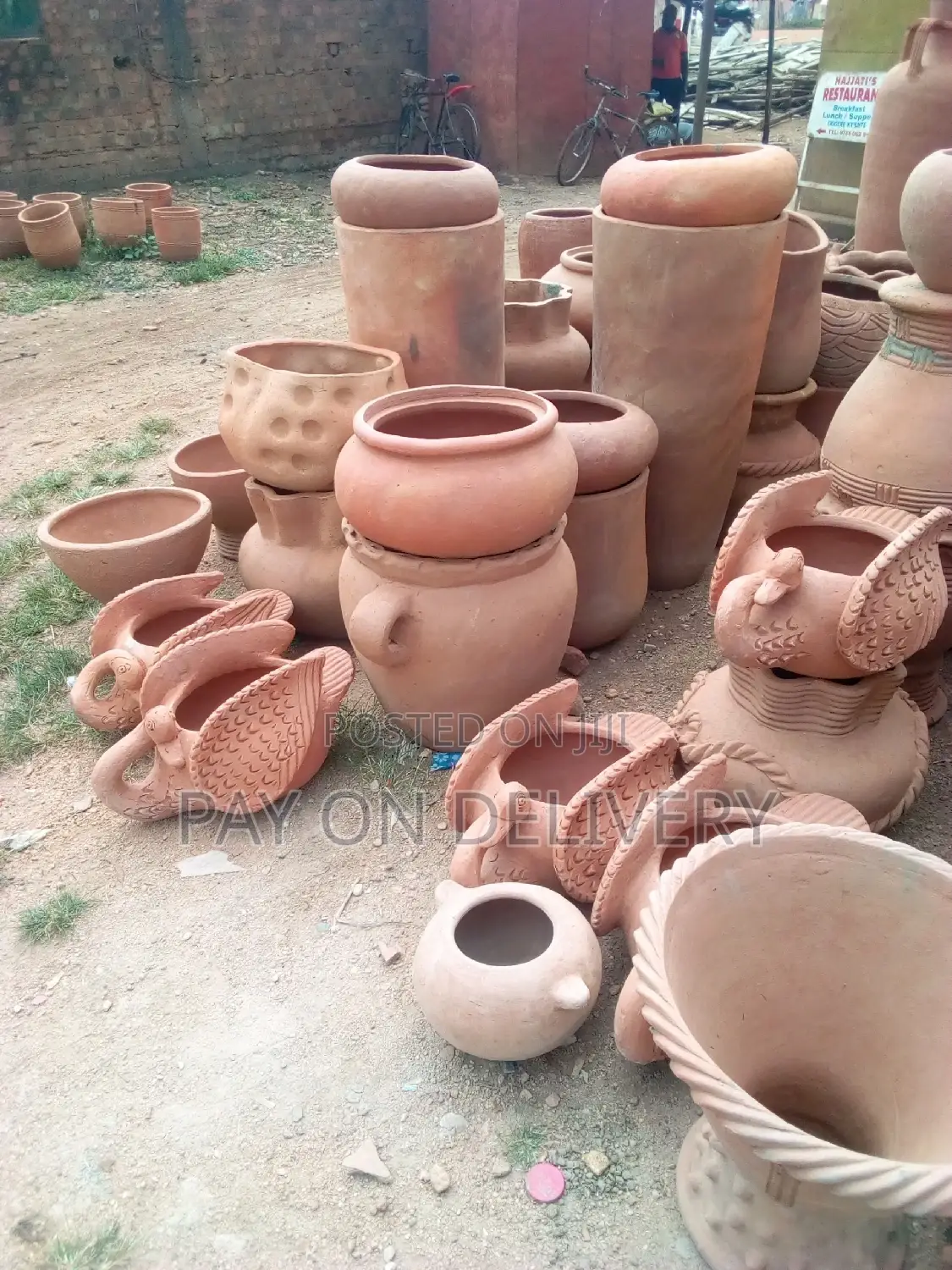 We Care for Your Flowers (Pots)