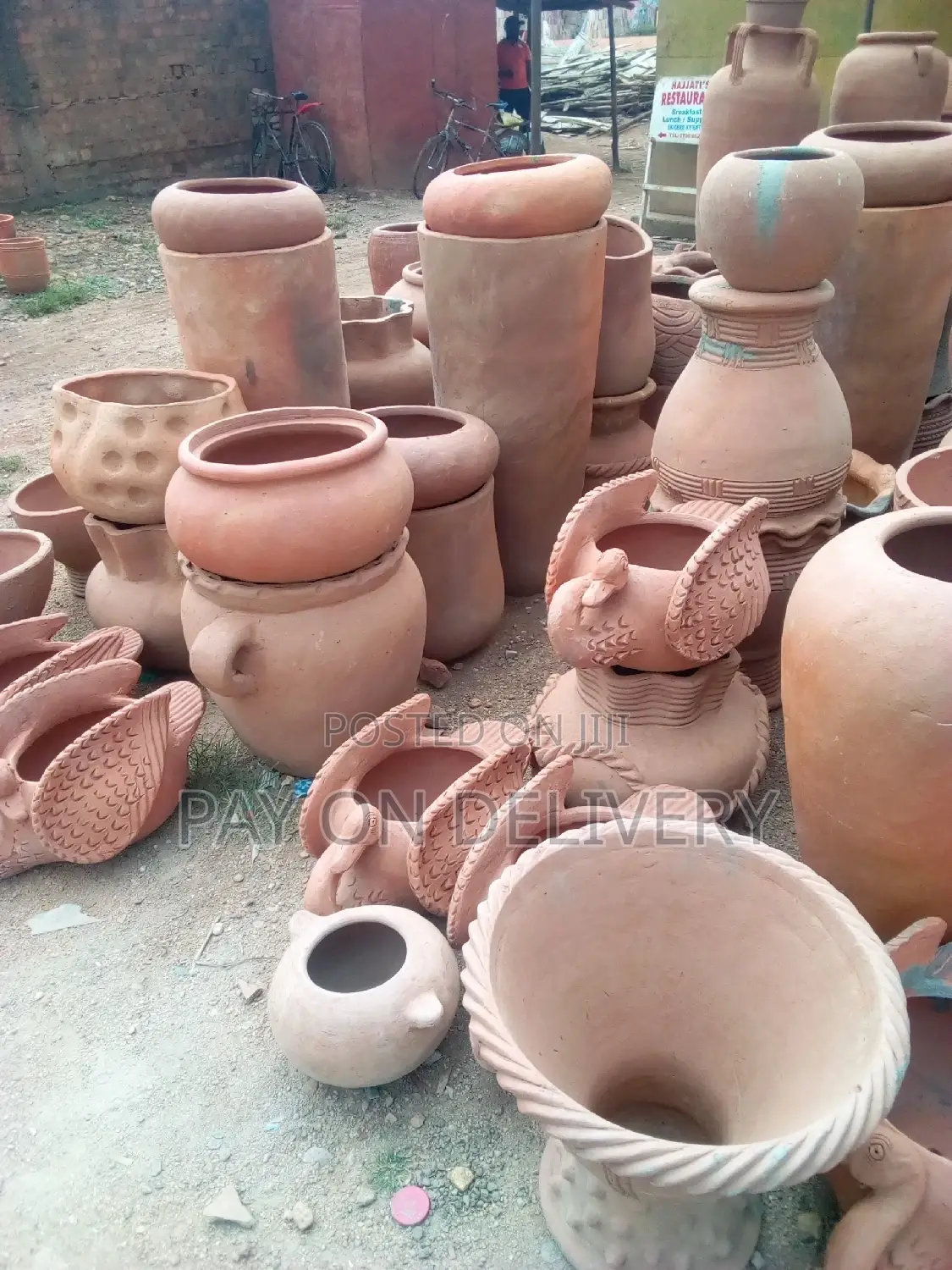 We Care for Your Flowers (Pots)