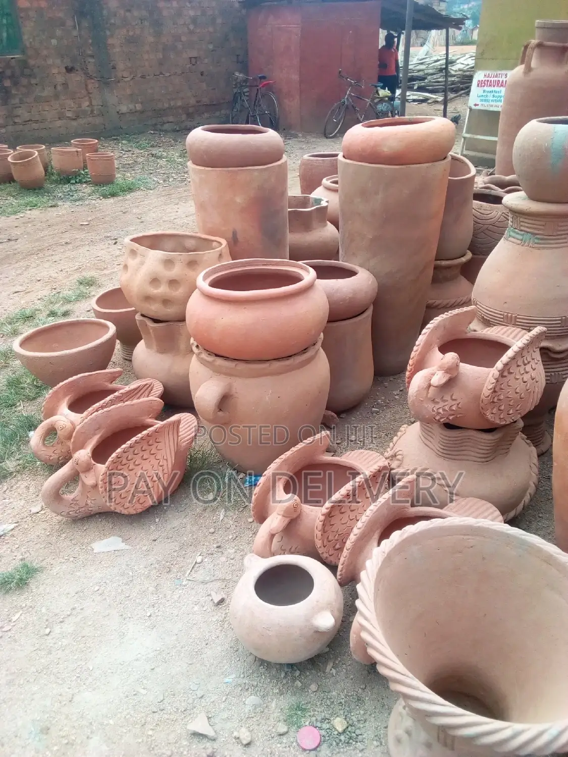 We Care for Your Flowers (Pots)