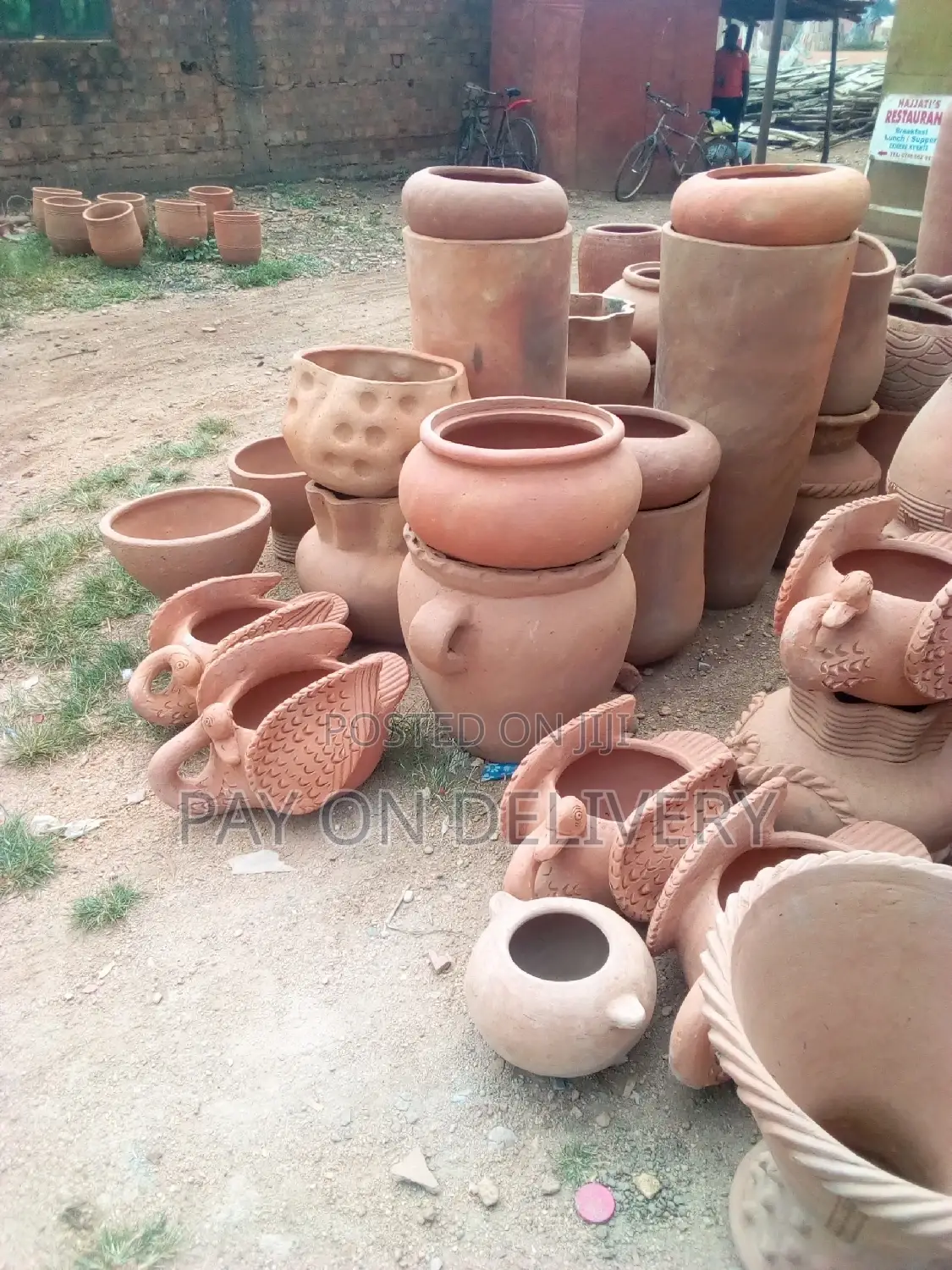 We Care for Your Flowers (Pots)