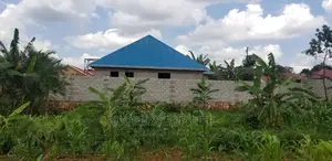 Roofing Experts