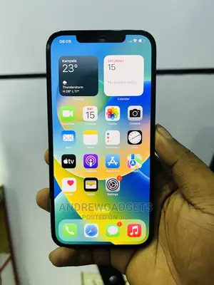 Apple iPhone 12 Pro Max 256 GB Blue