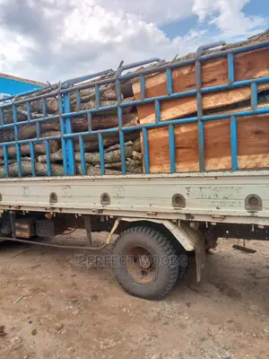 Firewood for Sell